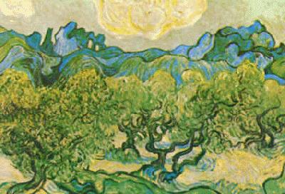 Vincent Van Gogh Olive Trees with the Alpilles in the Background